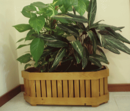 FLOREIRA RETANGULAR / HEXAGONO